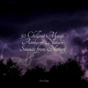 50 Ambient Rain Sounds