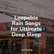 Loopable Rain Songs for Ultimate Deep Sleep