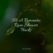 50 A Romantic Rain Shower Tracks