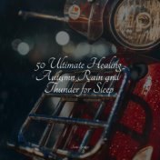 50 Ultimate Healing Autumn Rain and Thunder for Sleep