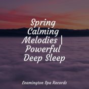 Spring Calming Melodies | Powerful Deep Sleep