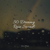 50 Dreamy Rain Sounds
