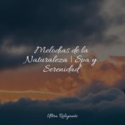 Melodías de la Naturaleza | Spa y Serenidad