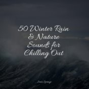 50 Winter Rain & Nature Sounds for Chilling Out