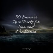 50 Summer Rain Tracks for Spa and Meditation
