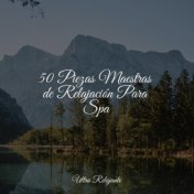 50 Piezas Maestras de Relajación Para Spa