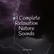 #1 Complete Relaxation Nature Sounds