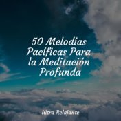 50 Melodías Pacíficas Para la Meditación Profunda