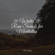 50 Loopable Natural Rain Sounds