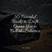 50 Peaceful Tracks to Drift Ocean You to Fall the Selective