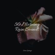 50 Morning Rain Sounds