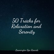 50 Tracks for Relaxation and Serenity
