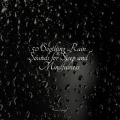 50 Soothing Rain Sounds for Sleep and Mindfulness