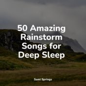 50 Amazing Rainstorm Songs for Deep Sleep