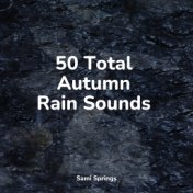 50 Total Autumn Rain Sounds