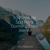 50 Pistas de Spa Para Dormir y Estar Atento