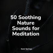 50 Soothing Nature Sounds for Meditation