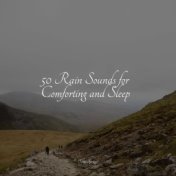 50 Rain Sounds for Comforting and Sleep