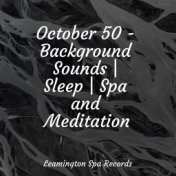 October 50 - Background Sounds | Sleep | Spa and Meditation