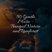 50 Gentle Music - Tranquil Nature and Rainforest