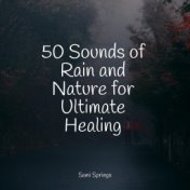 50 Sounds of Rain and Nature for Ultimate Healing