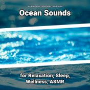 #01 Ocean Sounds for Relaxation, Sleep, Wellness, ASMR