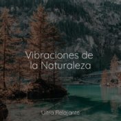 Vibraciones de la Naturaleza