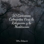50 Canciones Calmantes Para la Relajación y la Meditación