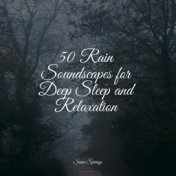 50 Rain Soundscapes for Deep Sleep and Relaxation