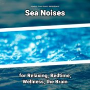 #01 Sea Noises for Relaxing, Bedtime, Wellness, the Brain