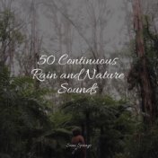 50 Continuous Rain and Nature Sounds