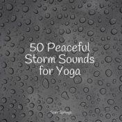 50 Peaceful Storm Sounds for Yoga