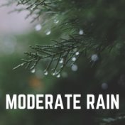 Moderate Rain