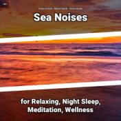 #01 Sea Noises for Relaxing, Night Sleep, Meditation, Wellness