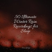 50 Ultimate Winter Rain Recordings for Sleep