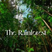 The Rainforest