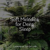 Soft Melodies for Deep Sleep