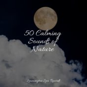 50 Calming Sounds of Nature