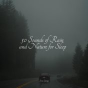 50 Loopable Rain Sounds for Relaxation and Sleep