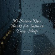50 Calming Rain and Nature Sounds