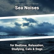 #01 Sea Noises for Bedtime, Relaxation, Studying, Cats & Dogs