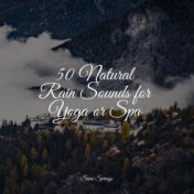 50 Natural Rain Sounds for Yoga or Spa