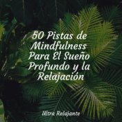 50 Pistas de Mindfulness Para El Sueño Profundo y la Relajación