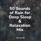 50 Sounds of Rain for Deep Sleep & Relaxation Mix