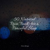 50 Natural Rain Tracks for a Peaceful Sleep