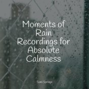 Moments of Rain Recordings for Absolute Calmness