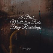 50 Best Meditation Rain Drop Recordings