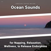 #01 Ocean Sounds for Napping, Relaxation, Wellness, to Release Endorphins