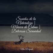 Sonidos de la Naturaleza | Música de Calma | Deliciosa Serenidad