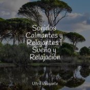 Sonidos Calmantes y Relajantes | Sueño y Relajación